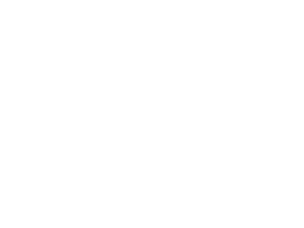 Anfor Secourisme