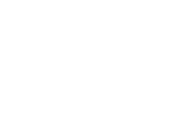 Ads Pneus