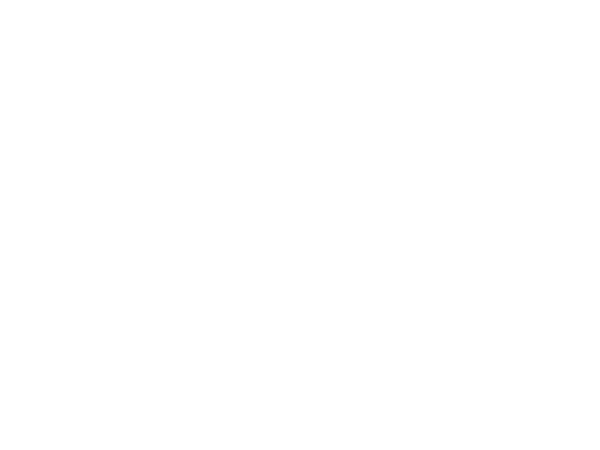 SC Coaching