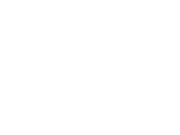 Camex'in